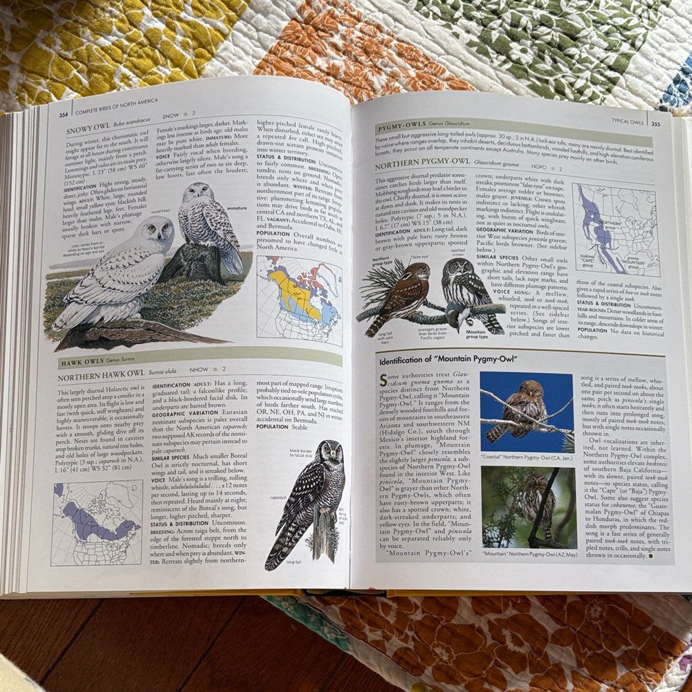 National Geographic Birds of North America - Yellow Edition - Picture 2 of 6